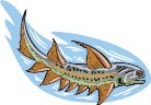 000803_1070_4999_vuvv.wmf