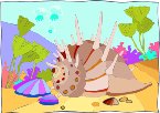 000803_1068_6596_vuvv.wmf