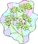 000803_1067_3809_vuvv.wmf