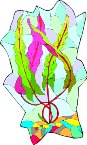 000803_1067_3811_vuvv.wmf