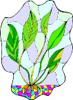 000803_1067_3812_vuvv.wmf