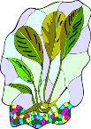 000803_1067_3814_vuvv.wmf