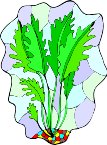000803_1067_3815_vuvv.wmf