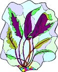 000803_1067_3817_vuvv.wmf