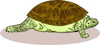 000803_1066_7839_vuvv.wmf