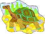 000803_1065_3955_vuvv.wmf