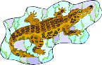 000803_1065_3962_vuvv.wmf