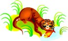 000803_1064_8729_vuvv.wmf