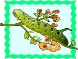 000803_1063_9002_vuvv.wmf