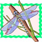 000803_1063_8990_vuvv.wmf