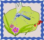 000803_1063_8992_vuvv.wmf