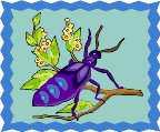 000803_1063_8993_vuvv.wmf