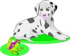 000803_1062_2402_vuvv.wmf