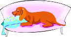 000803_1062_2408_vuvv.wmf