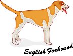 000803_1061_9684_vuvv.wmf