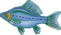 000803_1059_9834_vuvv.wmf