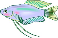 000803_1059_9836_vuvv.wmf