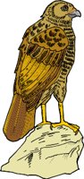 000803_1058_9516_vuvv.wmf