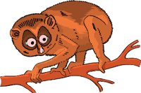 000803_1058_5708_vuvv.wmf