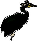 000803_1054_9695_vuvv.wmf