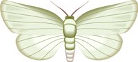 000803_1054_5173_vuvv.wmf