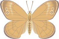 000803_1054_5180_vuvv.wmf