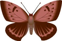 000803_1054_5207_vuvv.wmf
