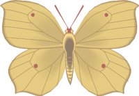 000803_1054_5231_vuvv.wmf