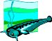 000803_1054_2752_vuvv.wmf