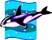 000803_1054_2821_vuvv.wmf