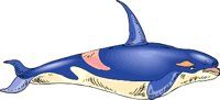 000803_1052_7426_vuvv.wmf