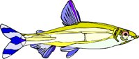 000803_1052_4736_vuvv.wmf