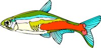 000803_1052_4747_vuvv.wmf