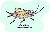 g0121604.WMF