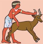 g0183064.WMF