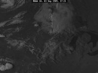 89246N0C.GIF