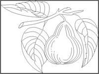 PEAR_1.GIF