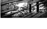 PUDDLE.GIF