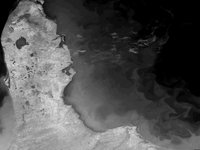 FLA_IR.GIF
