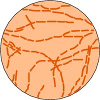 G0708779.WMF