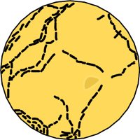 G0708766.WMF