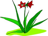 G0706579.WMF