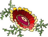 G0225326.WMF