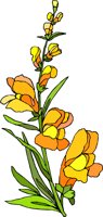 G0225126.WMF