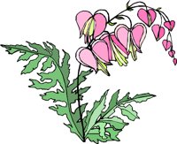 G0224594.WMF