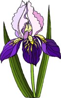 G0224309.WMF
