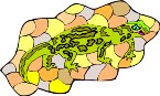 G0154589.WMF