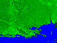 N1OMIS.GIF