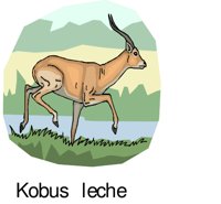 G0226122.WMF