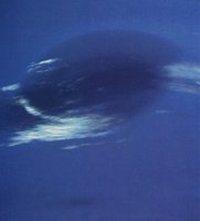NEPTUNE2.GIF